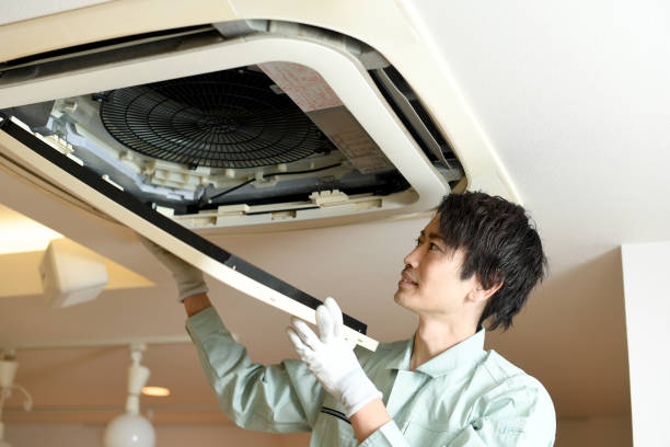 Best Air Duct Mold Removal  in Galion, OH